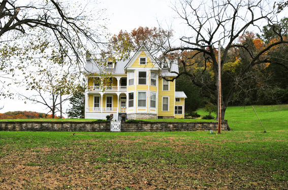 Cancer-Free and Care-Free at Sunny Dawn Acres