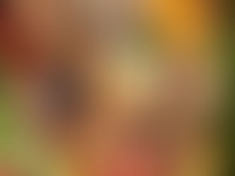 Macronutrients vs. Micronutrients, Does it Matter?