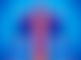 Unraveling the Complexities of Chronic Inflammation