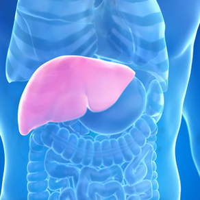 Foods and Supplements to Improve Liver Function