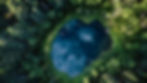 forest pond top view.jpg