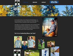 Aspen + Fir small business website work
