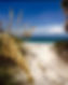 Beach.jpg