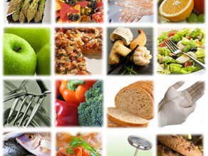 O que é Segurança Alimentar, Qualidade de Alimentos e Segurança de Alimentos?