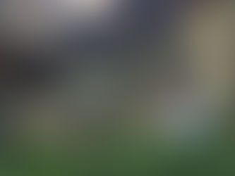 Davy, Davy Crockett, King Of The Wild Frontier