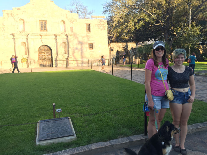 Sonya's Blog - Day 239 - The Alamo