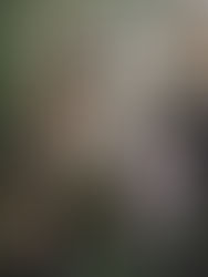 Happy Christmas Eve Eve