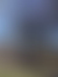 Sonya's Blog - Day 154 - Moving to Virginia Beach