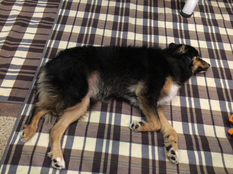 Post excitement sleepyness