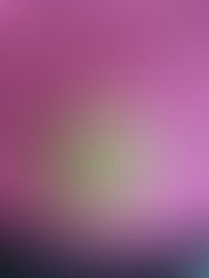 Sonya's Blog - Day 97 - Hanging out in New Glasgow