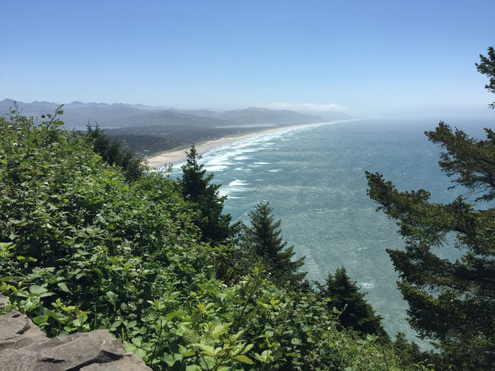 Tillamook And Cheese