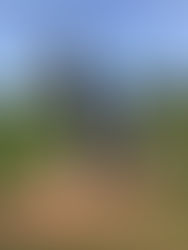 Moooooooooooooooo gasp moooooooooooooooooo cows creamery