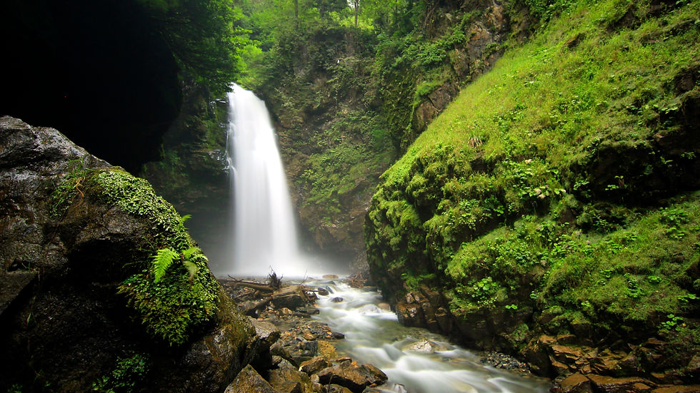 Palovit Şelalesi/Rize