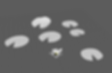 Screenshot (31).png