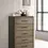 Miniatura: Baker Tall Chest Of Drawers in Brown And Light Taupe Room Scene