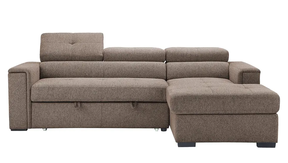 Thumbnail: Jeff Sectional Sleeper Sofa with Chaise Front View