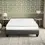 Miniatura: Fuzion 8 Inch Plush Bed Mattress Room Scene with Platform