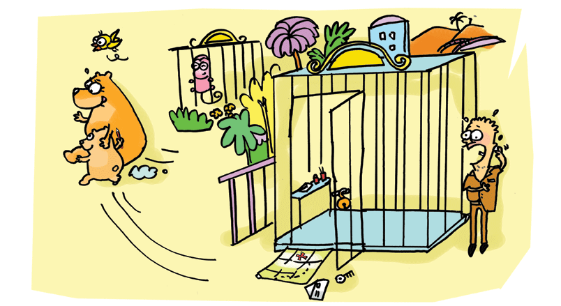 story & illustration