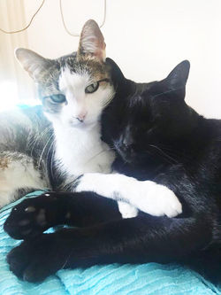 Luc & Mel