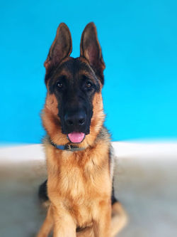 Marley