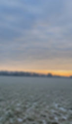 IMG_9278