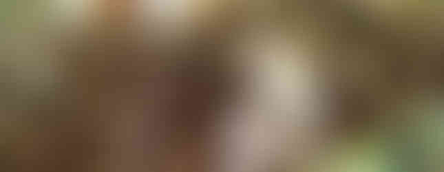 flores exoticas en orquideario Moxviquil