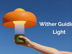 Indian Armed Forces: Sustaining Military Values in the Age of Unreason