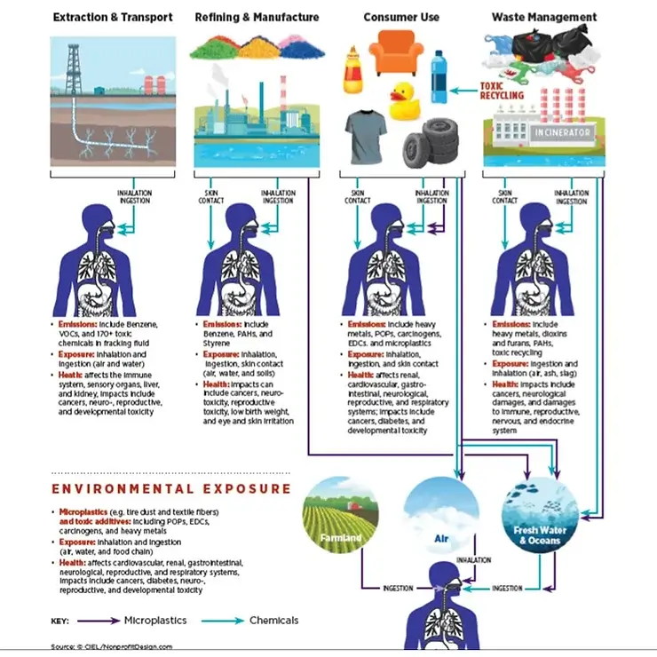 sources of microplastics in water and food