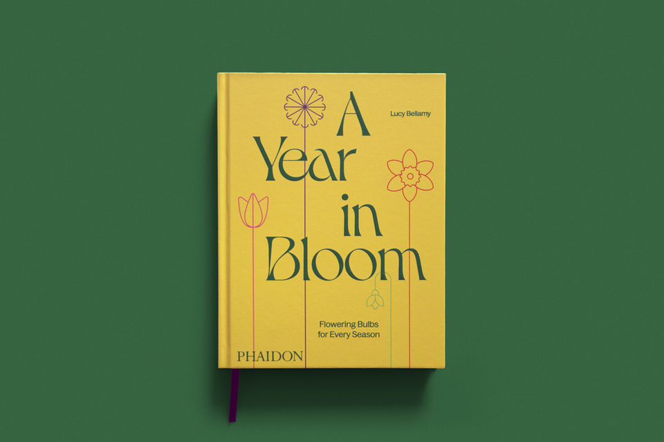 Book cover for A Year in Bloom