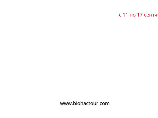 Круиз из Сочи - грандиозная акция на бархатный сезон 2025