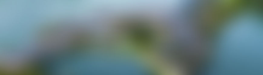 Отель Angsana Laguna Phuket 5* на пляже Банг Тао: обзор люкс-курорта для отдыха в Таиланде 2025