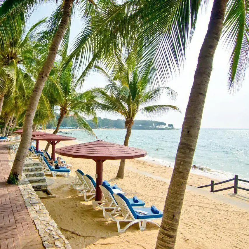 Частный пляж отеля с шезлонгами под пальмами и деревянной дорожкой к морю