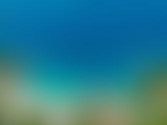 Что такое WME SYSTEM?