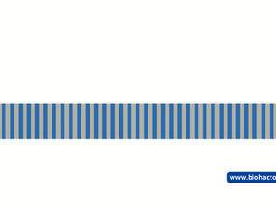 Круиз из Сочи по маршруту Турция — Греция на борту лайнера Astoria Grande — это возможность за 11 дней посетить сразу шесть портов: Стамбул, Родос, Миконос, Санторини, Нафплион