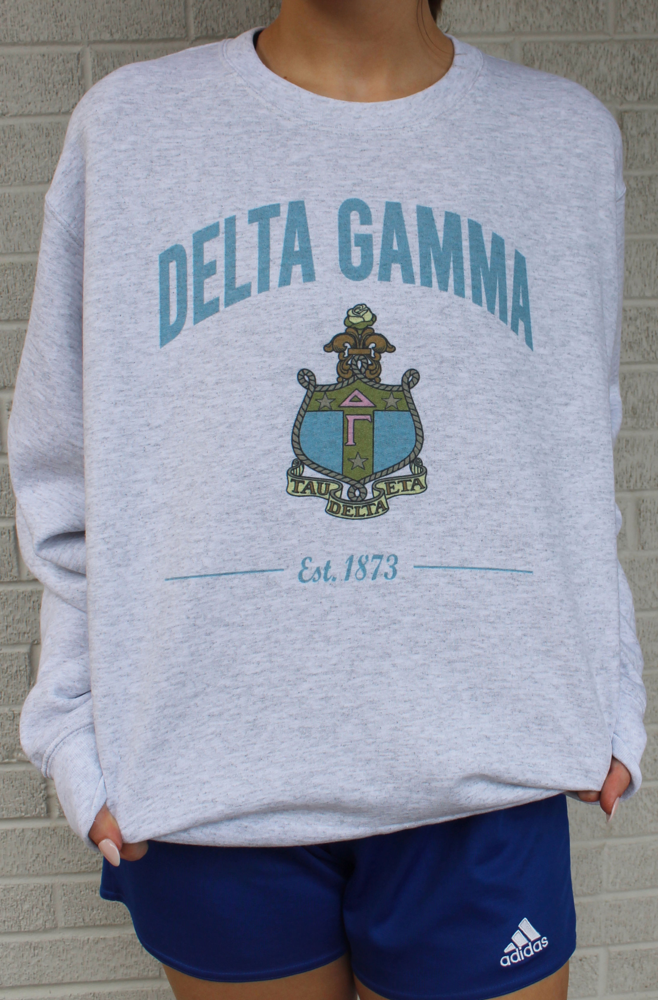 Delta Gamma Crest Sweatshirts and Tshirts