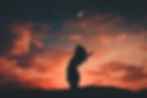 Silhouette 2.jpg