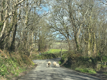 Navigating a rural road