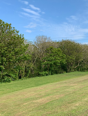 Kittiwake Pitch 6