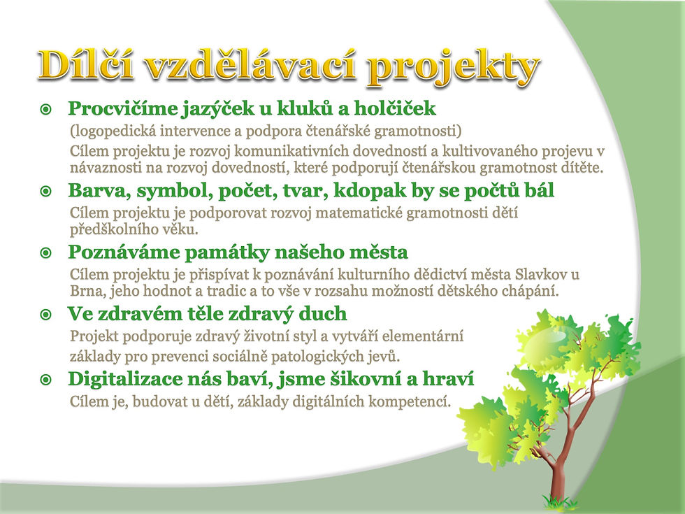 Snímek21