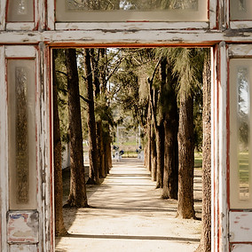 Harry Wedding-190_websize.jpg