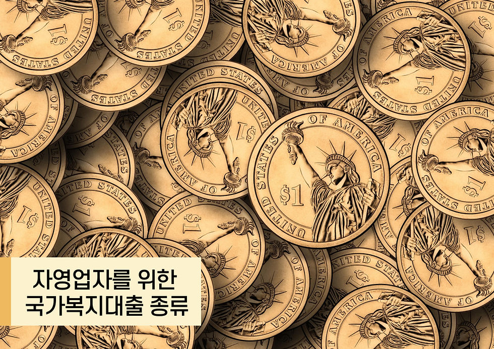 자영업자를 위한 국가복지대출 종류