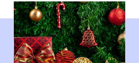 Guide to Navigating the Festive Season_edited_edited.png