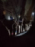 IMG_20230705_124615.jpeg