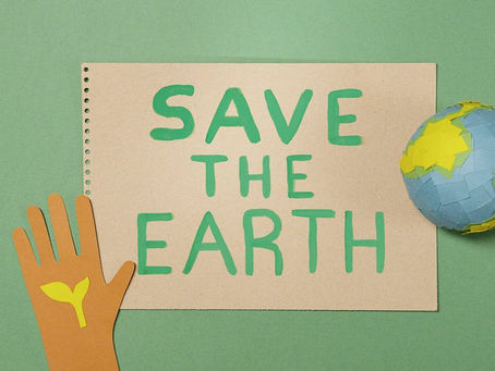 Eco-illogica.