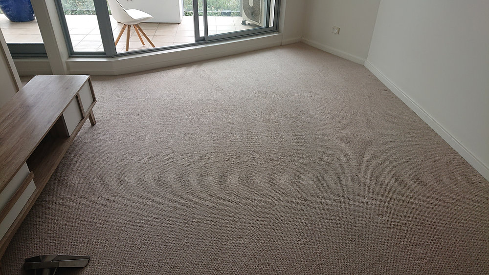 The Science Behind Carpet Cleaning Northern Beaches Understanding the