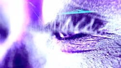 Diseño: Paloma Coral