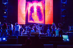 Diseño: Paloma Coral