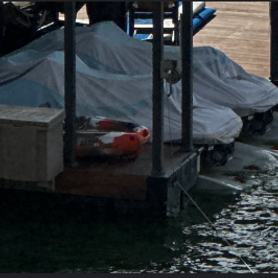 waverunner and jet ski ports