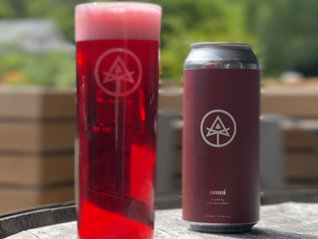 Omni Raspberry - Hard Seltzer - Beer Release