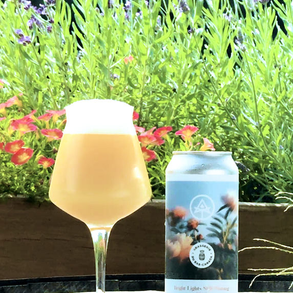 Bright Lights Still Shining - Double IPA Collab - Beer Release